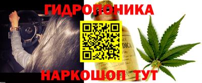 скорость Новозыбков