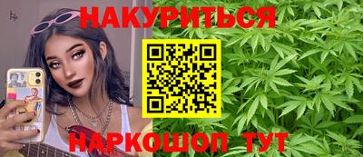 скорость Новозыбков