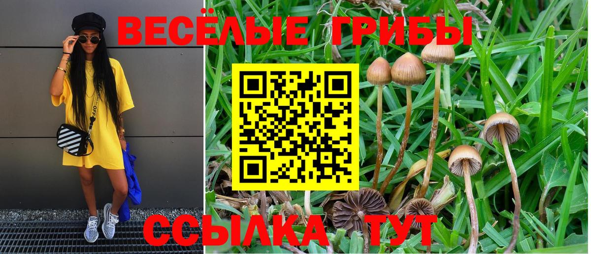 Сызрань  Галлюциногенные грибы Magic Shrooms  где купить наркоту  Вход с VPN 
